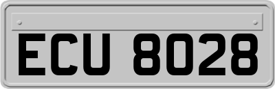 ECU8028