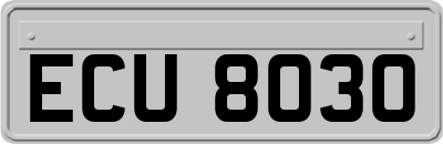 ECU8030