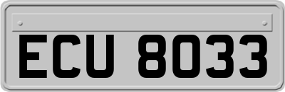 ECU8033