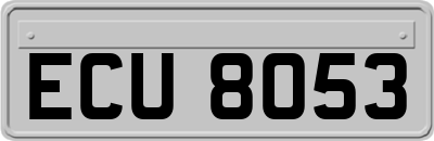 ECU8053