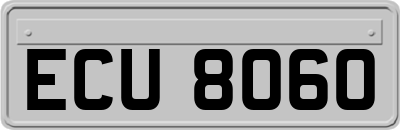 ECU8060