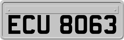 ECU8063