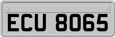 ECU8065