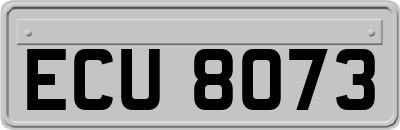ECU8073