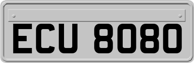ECU8080