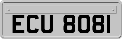 ECU8081