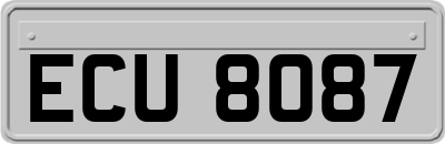 ECU8087