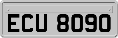 ECU8090