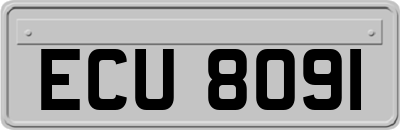 ECU8091