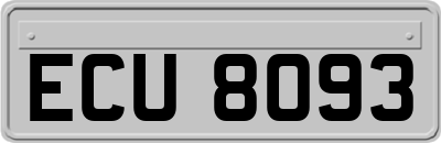 ECU8093