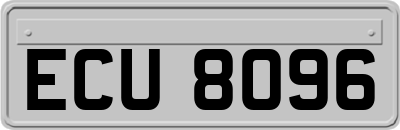 ECU8096