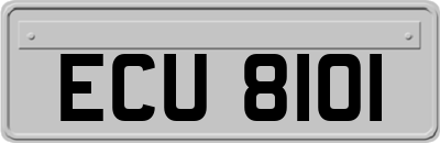 ECU8101