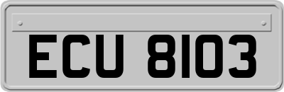 ECU8103