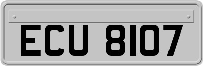 ECU8107