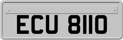 ECU8110