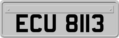 ECU8113
