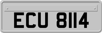 ECU8114