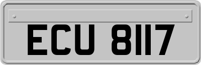 ECU8117