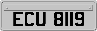 ECU8119