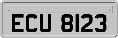 ECU8123