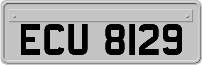 ECU8129