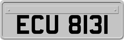 ECU8131