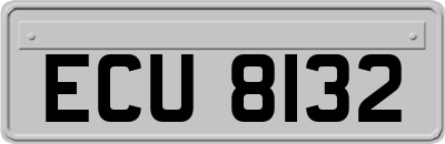 ECU8132