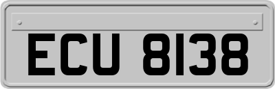 ECU8138