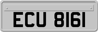 ECU8161