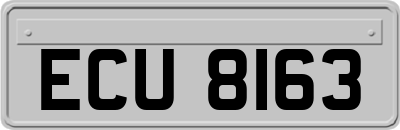 ECU8163