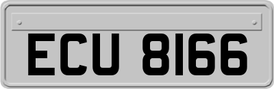 ECU8166
