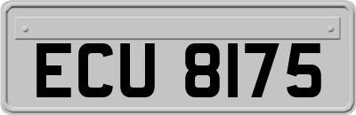 ECU8175