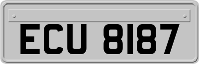 ECU8187