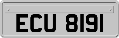ECU8191