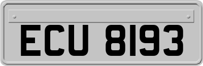 ECU8193