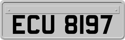 ECU8197