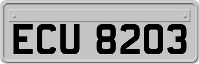 ECU8203