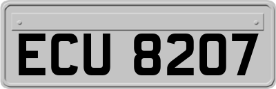 ECU8207