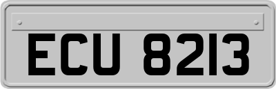 ECU8213