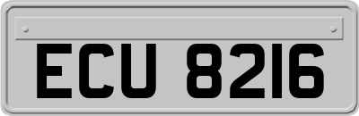 ECU8216