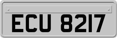 ECU8217