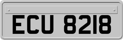 ECU8218