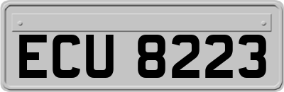 ECU8223