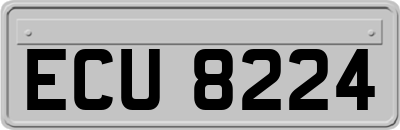 ECU8224