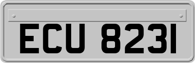 ECU8231