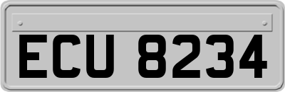 ECU8234