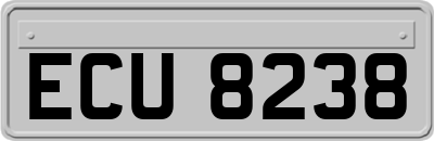 ECU8238