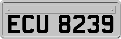 ECU8239