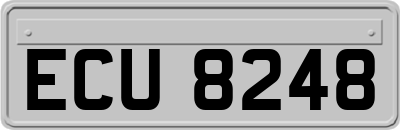 ECU8248