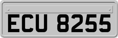 ECU8255